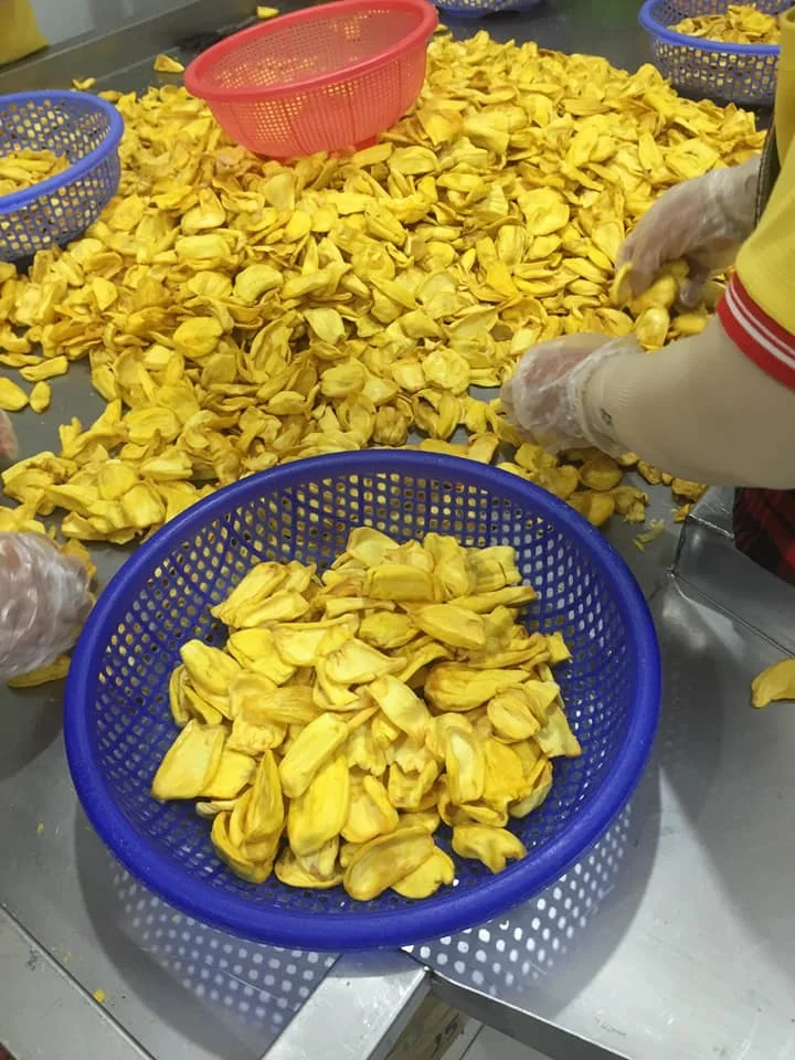 DRIED JACKFRUIT/DEHYDRATED JACKFRUIT/CRISPY JACKFRUIT CHIPS SNACK EXPORT STANDARD FROM VIETNAM