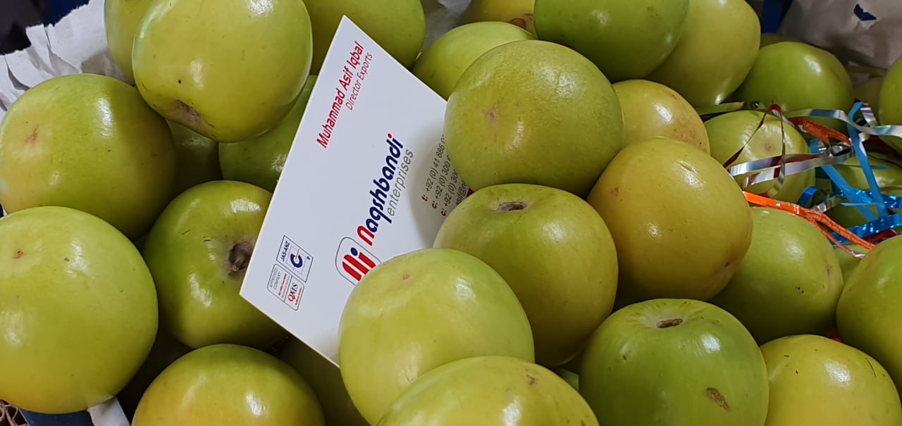 来自巴基斯坦的石苹果新鲜水果 - buy juju berry,fresh jujube fruit