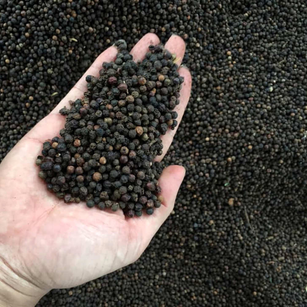 越南干香料黑胡椒
