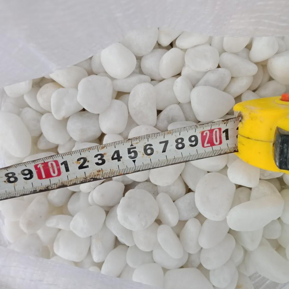 Камень с белой галькой