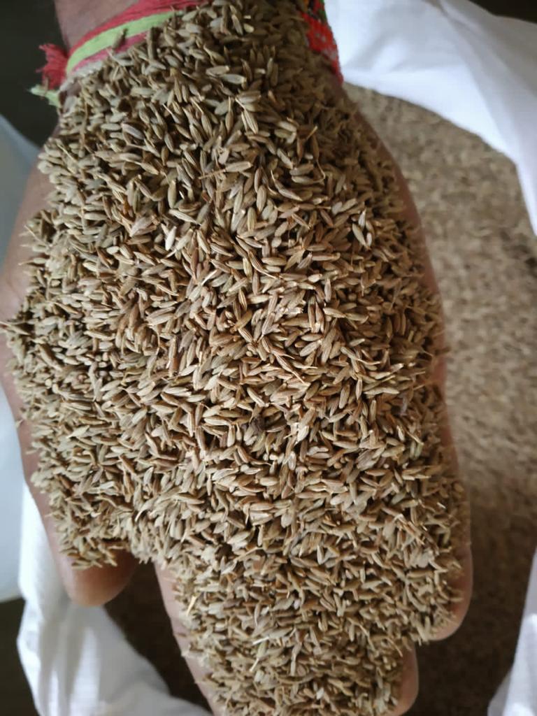 apeda认证棕色孜然籽 - buy indian cumin seed,quality cumin seed