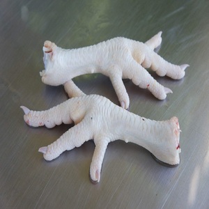 chicken feet shoe covers