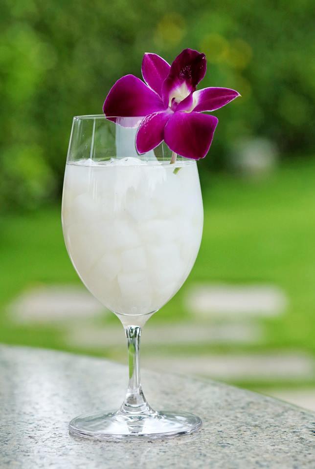 NATA DE COCO/ COCONUT JELLY WITH BEST PRICE FROM VIETNAM/MS.THI NGUYEN +84 988 872 713