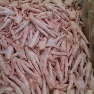 chicken feet shoe covers