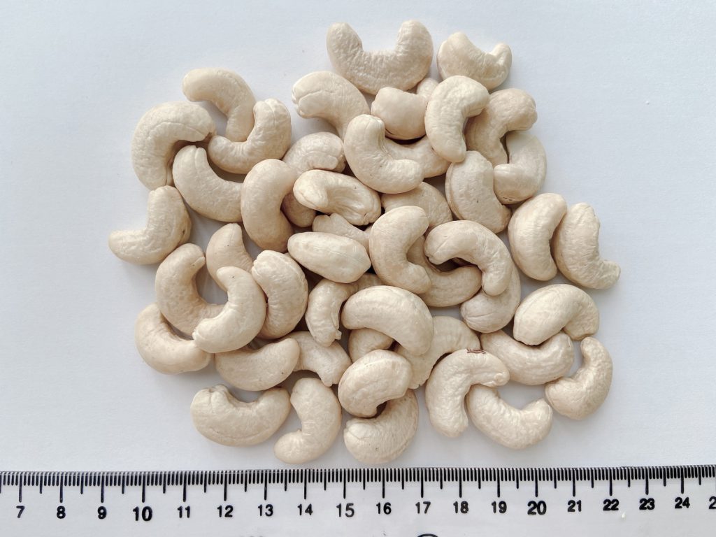 NEW CROP - BEST PRICE - CASHEW NUTS from TOP BRC factory (Hanfimex-Mr.Daniel +84969509207)