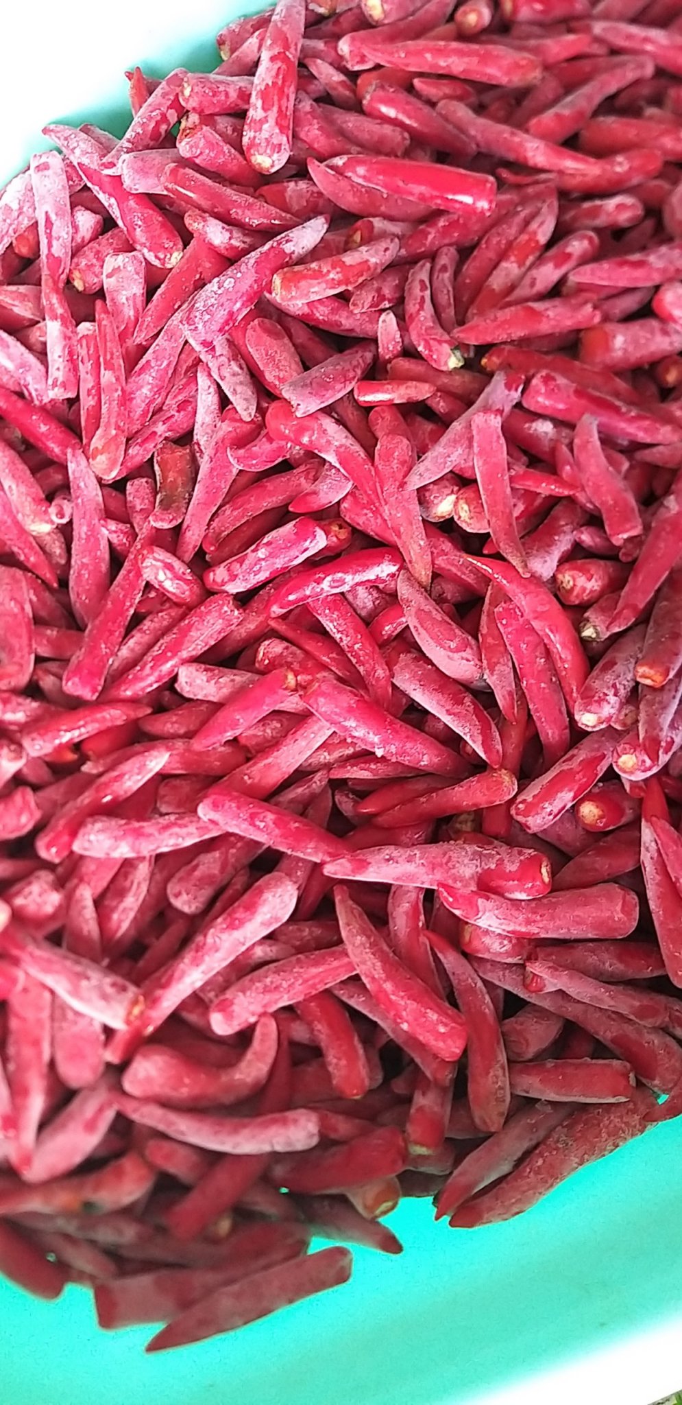 越南冷冻红辣椒3cm-7cm-高品质良好的价格-珍妮   84988985650