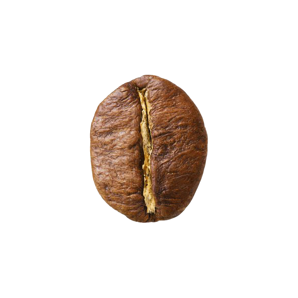 Обжарка кофе. Сорта кофе в зернах. Арабика робуста либерика. Как выглядит зерно кофе. Как выглядит зерно кофе.