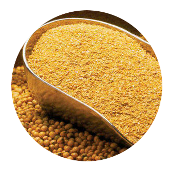 соя кормовая. соя полножирная экструдированная. экструдированный комбикорм. шрот соевый гранула. корма для животных feed.