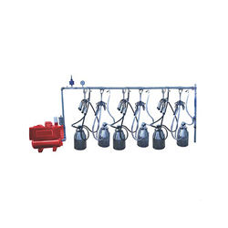 Bucket Milking Machine with lid at Good Price