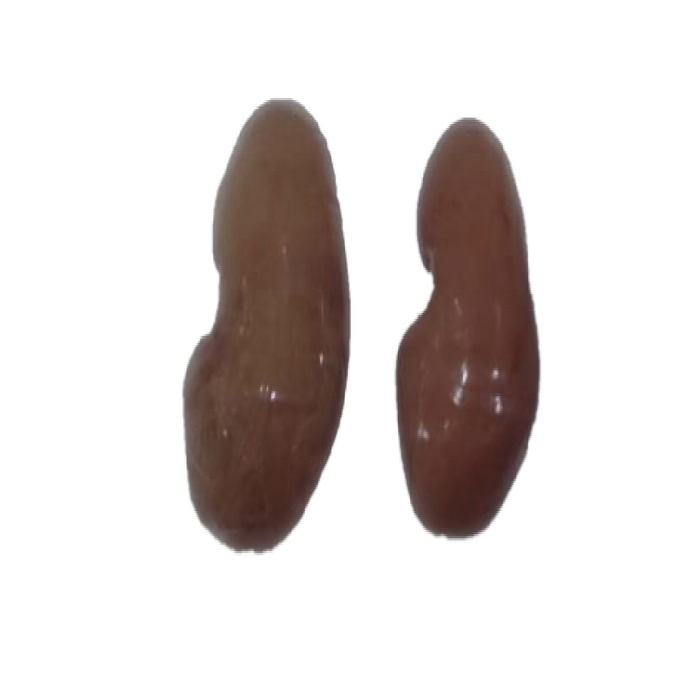 Yüksek Kaliteli Domuz Ürünleri Üreticilerinden ve Domuz Ürünleri