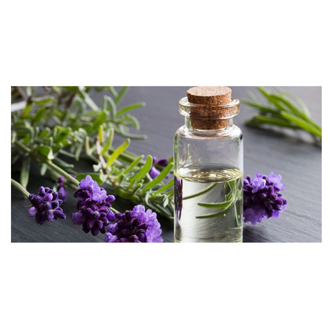 lavender oil, lavender oil direct from shiv sales corporation in