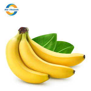 便宜的价格越南优质健康的新鲜卡文迪什香蕉供应商 (公司)