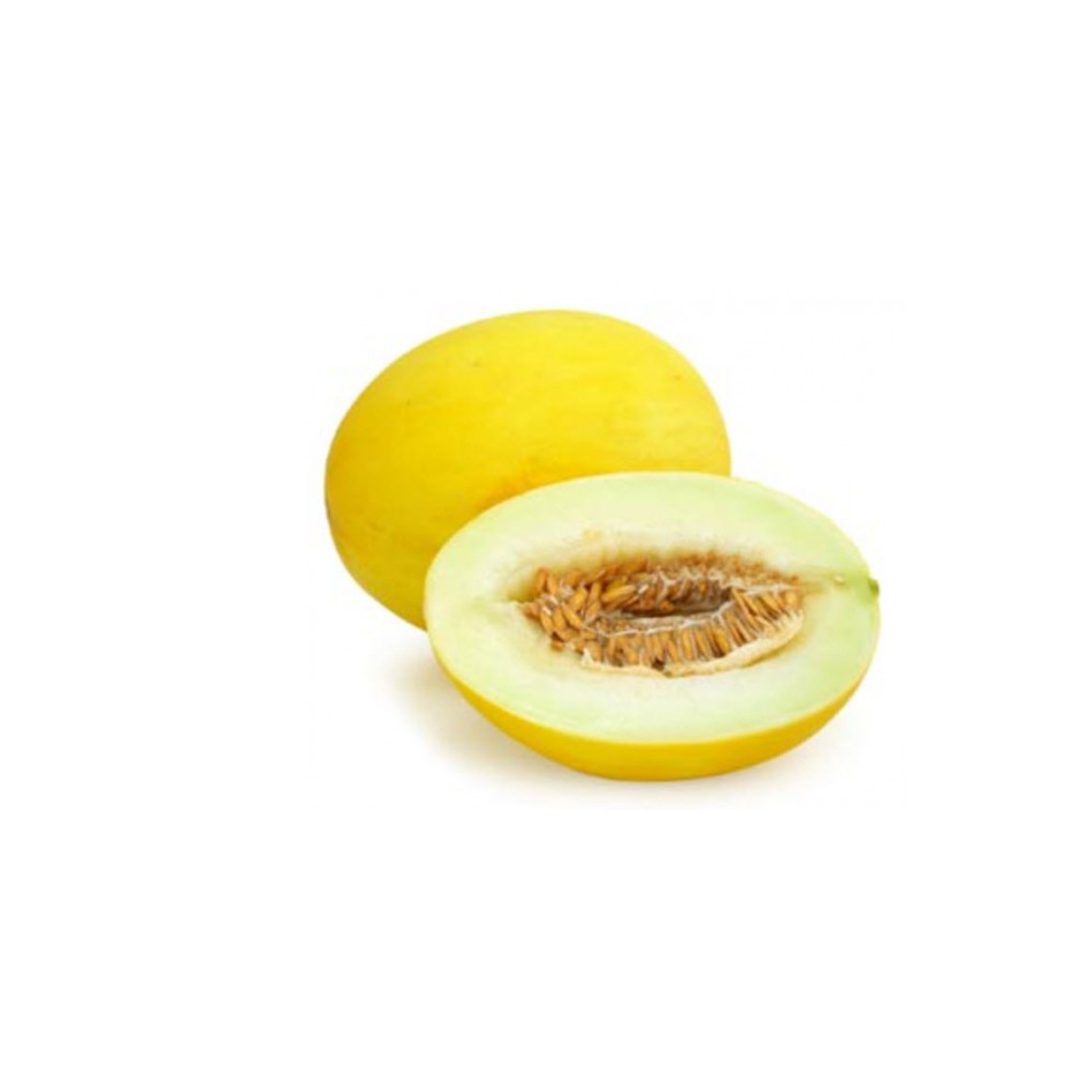 Дыня картинка для детей на прозрачном фоне