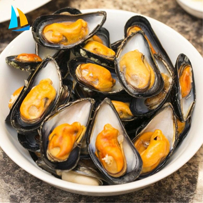 Mussels food. Мидии в скорлупе. Разновидности мидий. Мидии в скорлупе. Мидии черноморские.