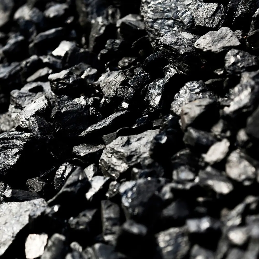Steam coal russia фото 4