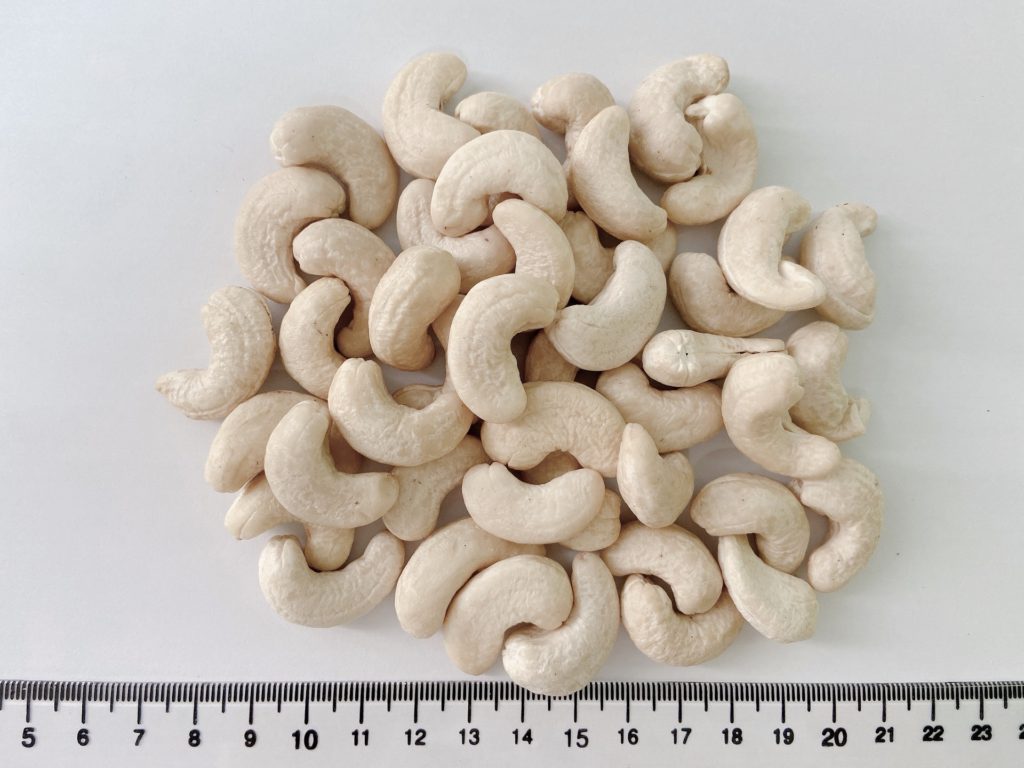 NEW CROP - BEST PRICE - CASHEW NUTS from TOP BRC factory (Hanfimex-Mr.Daniel +84969509207)