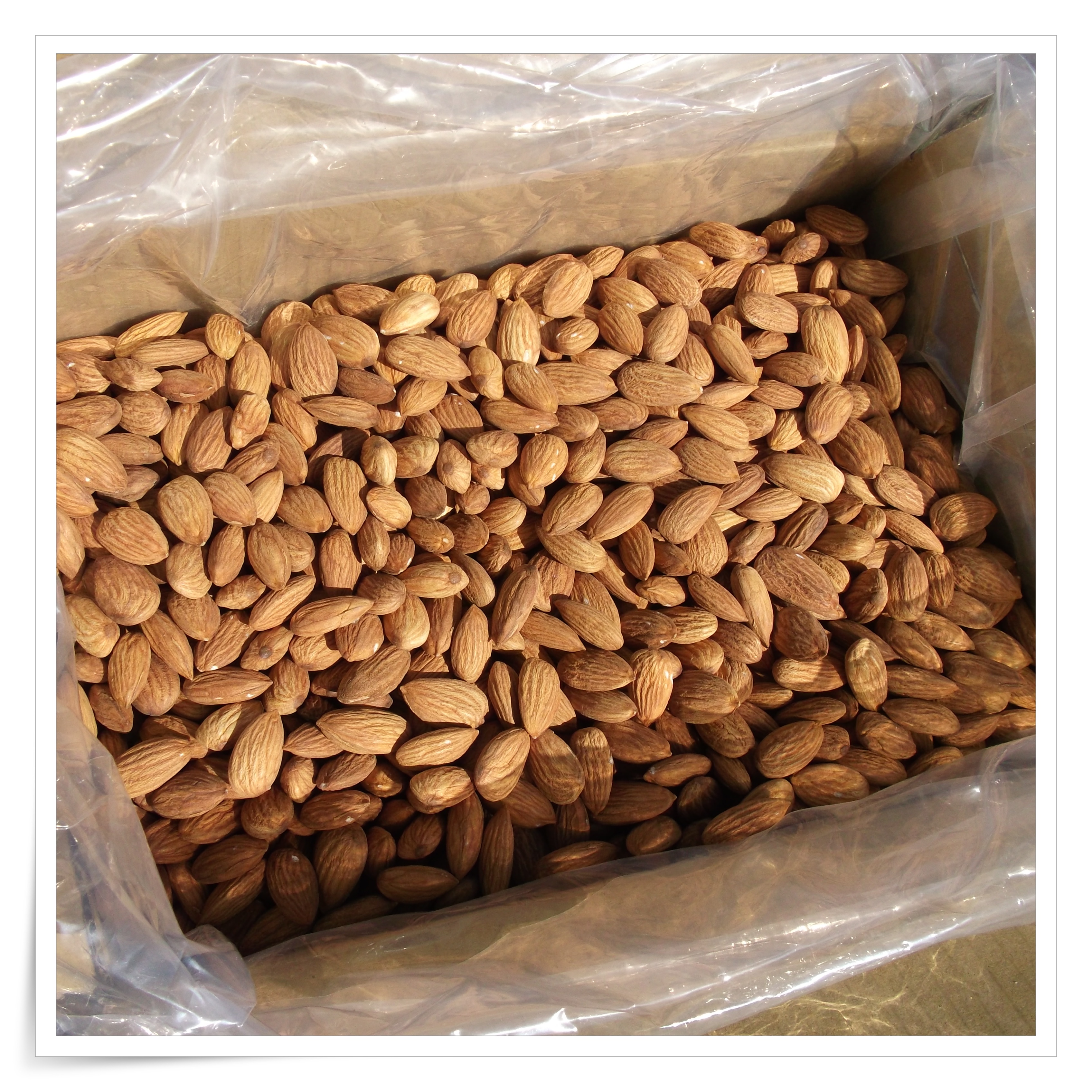 б. королевский миндаль. смесь ореховая «фрути – трио» – 35г. миндаль в скорлупе. 24 миндаль.