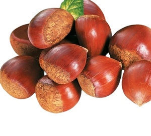 roastedwaterchestnuts