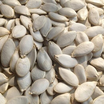 Snow White Pumpkin Seeds , Sesame Seed , Egussi Seed for Sale