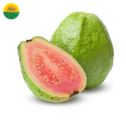 fresh guava, fresh guava direct from ameii viet nam joint stock