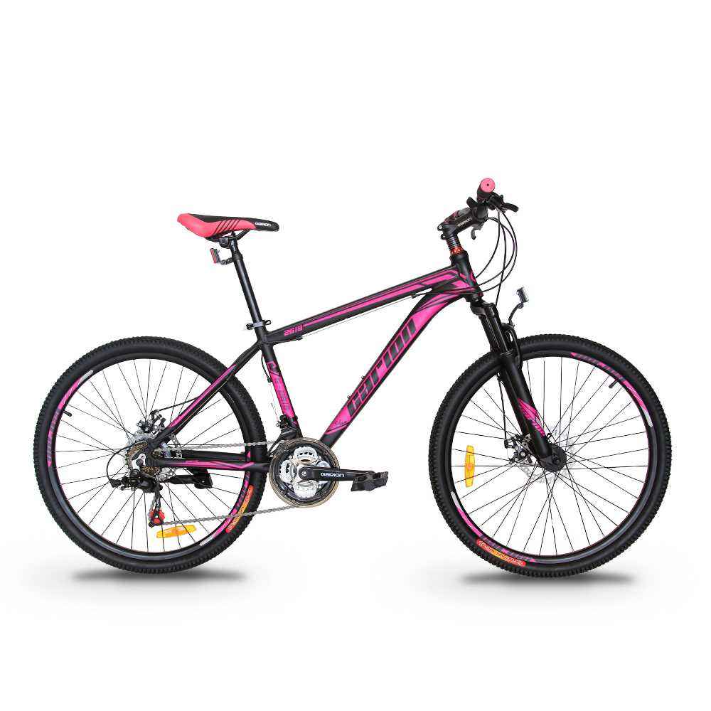 black and purple mtb