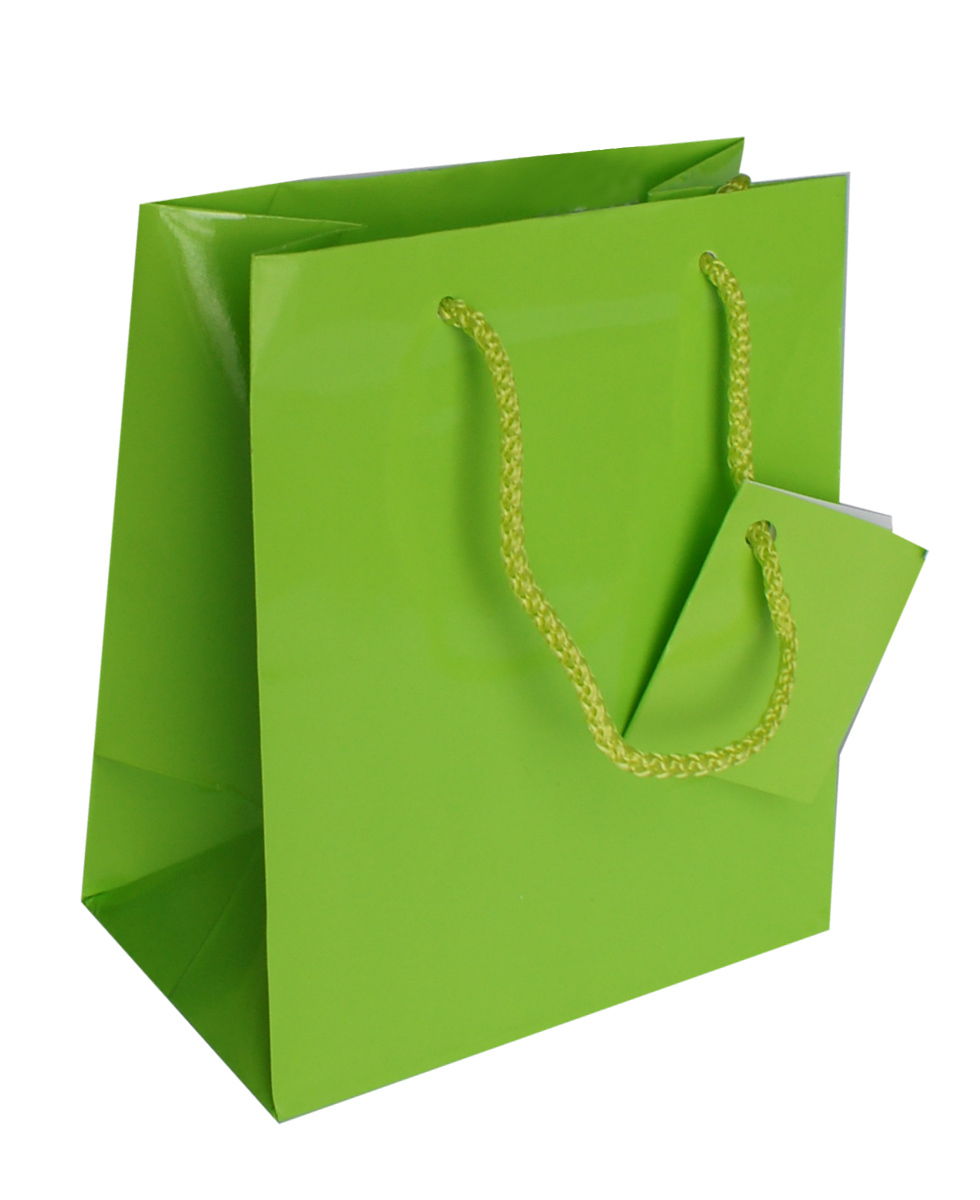 paper bag; shopping bag
