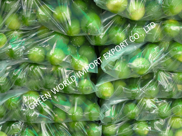 Lime from Vietnam - Super competitive price and quality