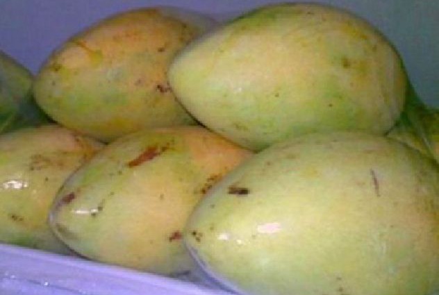 NATURAL SWEET MANGO FRUIT WITH BEST COMPETITIVE PRICE