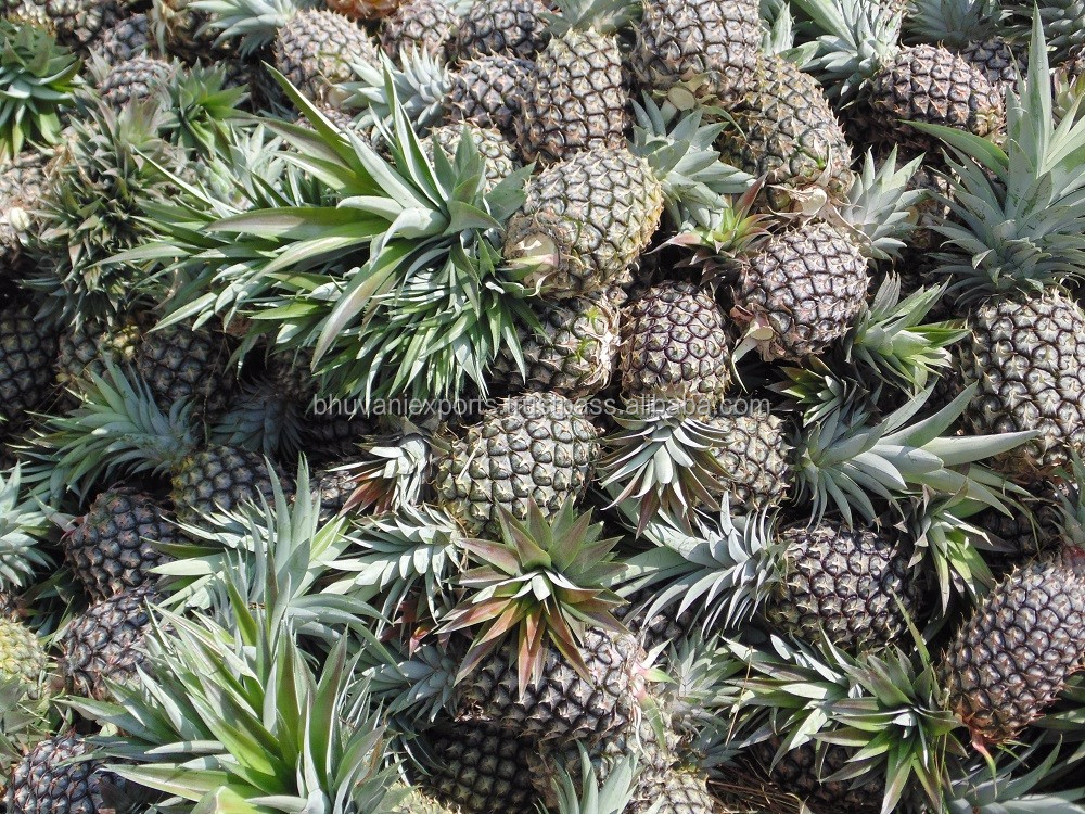 新鲜菠萝/新鲜水果!