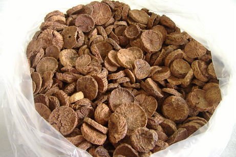 VIETNAM BETEL NUT / SPLIT BETEL NUT /SLICE BETEL NUT NEW CROP