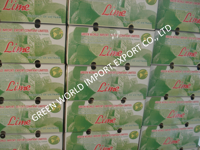 Lime from Vietnam - Super competitive price and quality