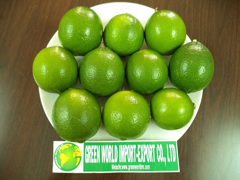 Lime from Vietnam - Super competitive price and quality