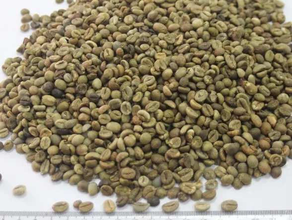 ARABICA COFFEE BEAN