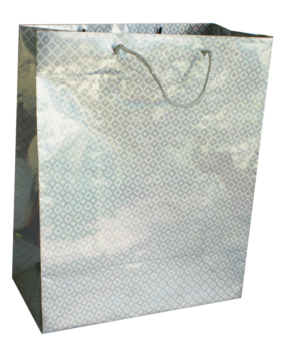 paper bag; shopping bag