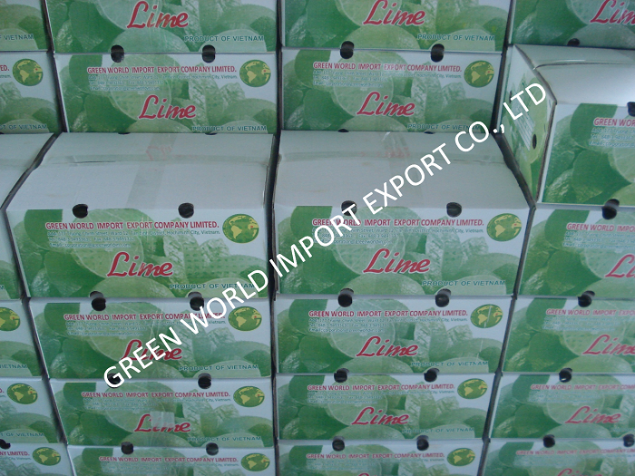 Lime from Vietnam - Super competitive price and quality