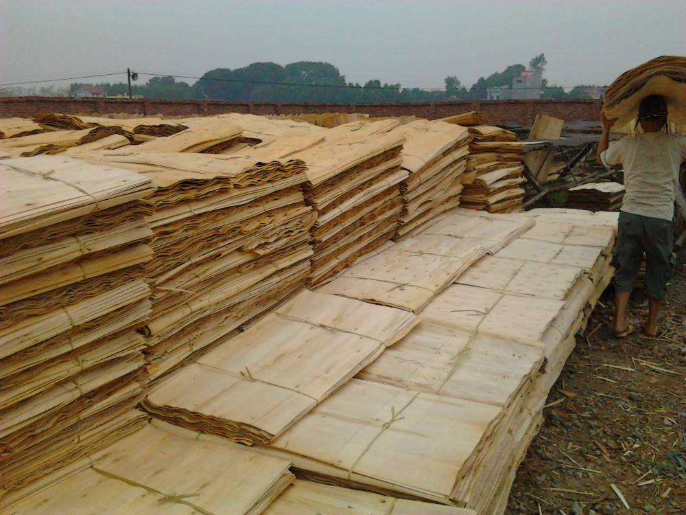 真正的高品质,桉树芯单板马来西亚