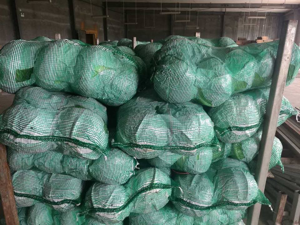 VIET NAM FRESH CABBAGES VIETGAP