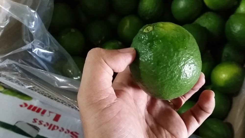 BEST QUALITY SEEDLESS LEMON 2021 FROM VIETNAM