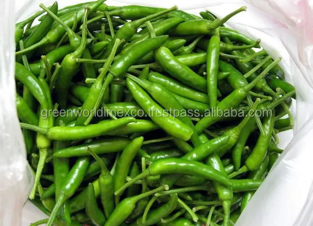 TOP PRODUCT FOR EXPORT: FRESH GREEN HOT CHILLI - BEST PRICE