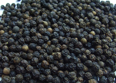 VIETNAM WHOLE WHITE PEPPER IMTEX FACTORY ( WHATSAPP: 0084 164 9078 009)