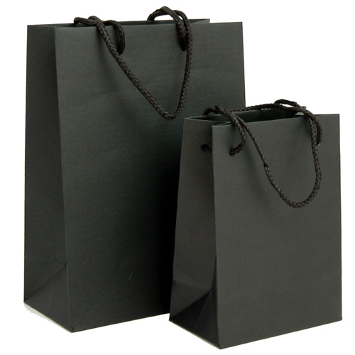 paper bag; shopping bag with pp string