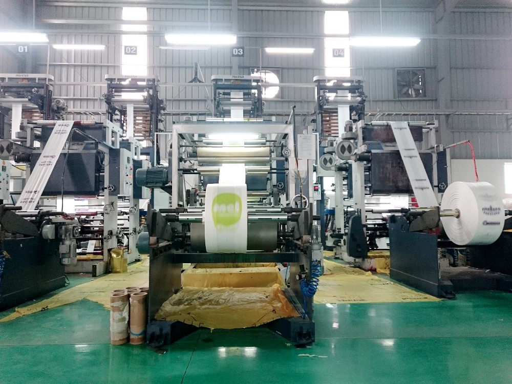 Cheap soft loop plasticbags/ Flexi handle bags Vietnam made in