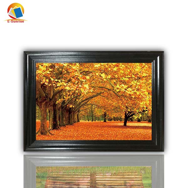 Линзовидная картина с эффектом 3d и 5d