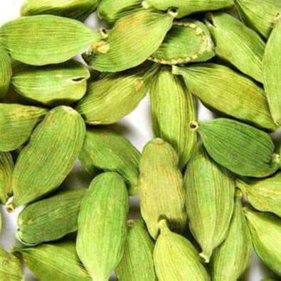 高品质干绿色小豆蔻