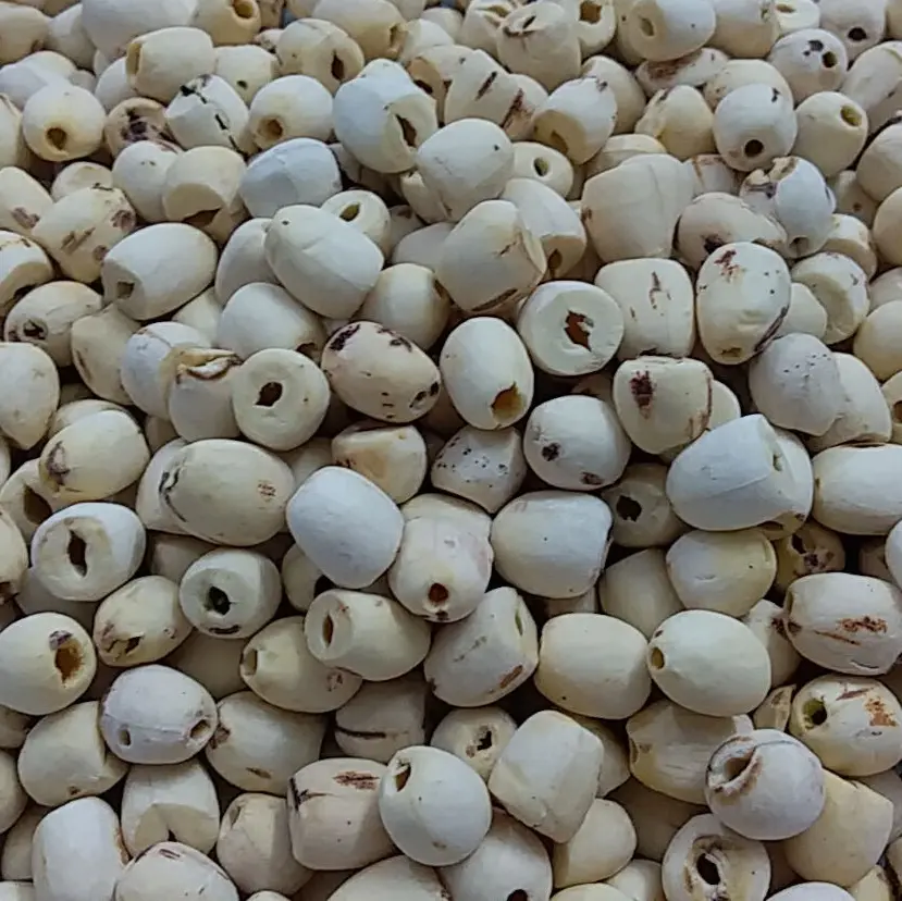 Семена вьетнамского лотоса, сушеные семена лотоса высокого качества