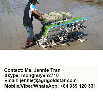 RICE TRANSPLANTER SPW - 48C - MADE IN THAILAND - EXPORT WORLDWIDE - LOWEST PRICE - HIGHEST QUALITY - STRONGEST ENGINE - SALE