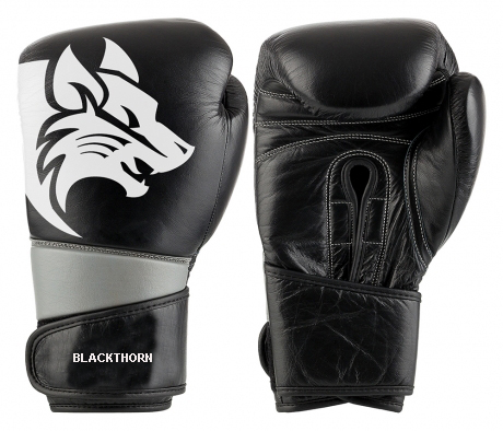 Winning перчатки боксерские. Winning перчатки. Перчатки виннинг для бокса. Custom boxing. Перчатки fever boxing mma.