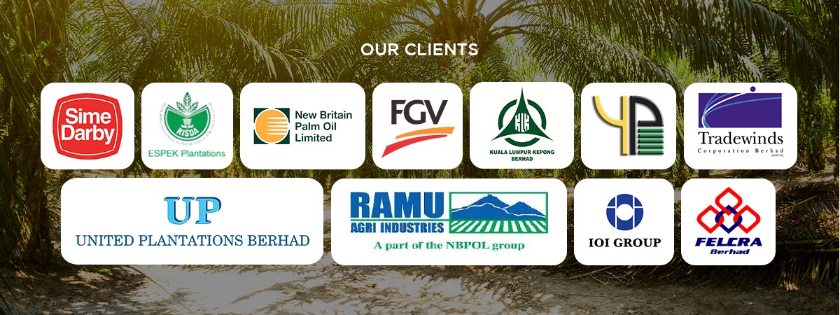 PALM KING MARKETING SDN. BHD. - Oil Palm Sickle, Harvesting Chisels