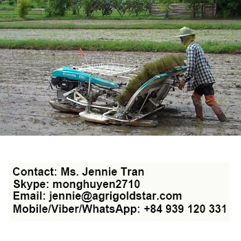 KUBOTA RICE TRANSPLANTER 68C - MADE IN THAILAND - EXPORT WORLDWIDE - LOWEST PRICE - HIGHEST QUALITY - STRONGEST ENGINE - SALE