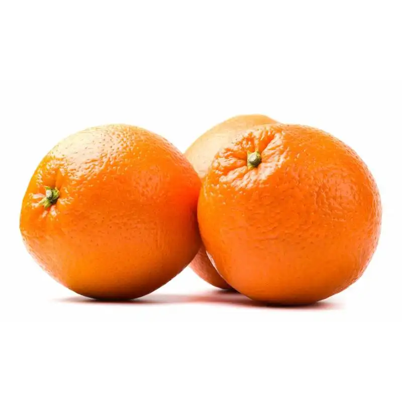Мандарин род. Мандарины Марокко. Мандора мандарин. Апельсины Марокко. Мандарин на белом фоне.